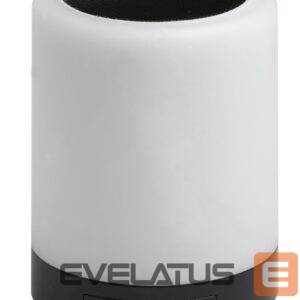 Bluetooth speakers Denver  BTL-30BNR 