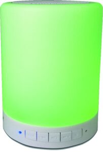 Bluetooth speakers Denver  BTL-30 