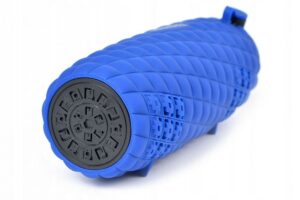 Belaidės kolonėlės Toshiba  Sonic Blast 2 TY-WSP80 blue 