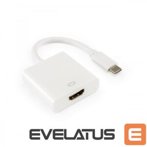 Converter Sbox  AD.HDMI-TYPEC HDMI F.->TYPE-C M 