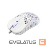 Kompiuterio pelė eShark  ESL-M4 Naginata white 