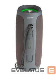 Belaidės kolonėlės Denver  BTV-220 Grey