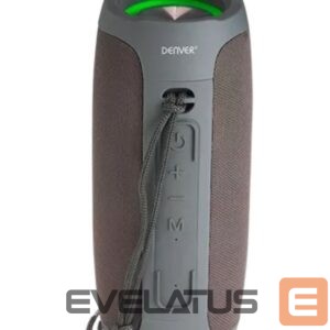 Belaidės kolonėlės Denver  BTV-220 Grey