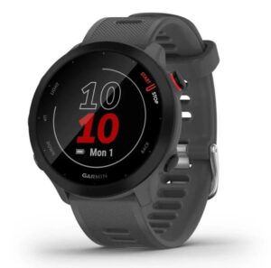 Išmanusis laikrodis Garmin  FORERUNNER 55/Grey 010-02562-13 