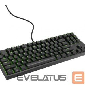 Computer keyboard Genesis  Mechanical Gaming Keyboard THOR 404 TKL RGB Mechanical Gaming Keyboard Wired US Kailh Box Brown V2 USB Type-A 1005 g 