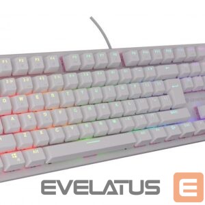 Computer keyboard Genesis  THOR 303 | Mechanical Gaming Keyboard | Wired | US | White | USB Type-A | Outemu Peach Silent 