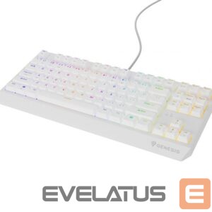 Computer keyboard Genesis  THOR 230 | Mechanical Gaming Keyboard | Wired | US | White | USB Type-A | Outemu Brown 