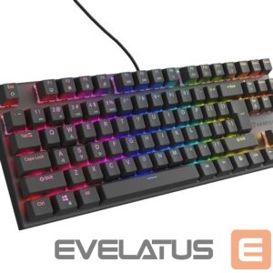 Computer keyboard Genesis  THOR 303 | Mechanical Gaming Keyboard | Wired | US | Black | USB Type-A | Outemu Peach Silent 