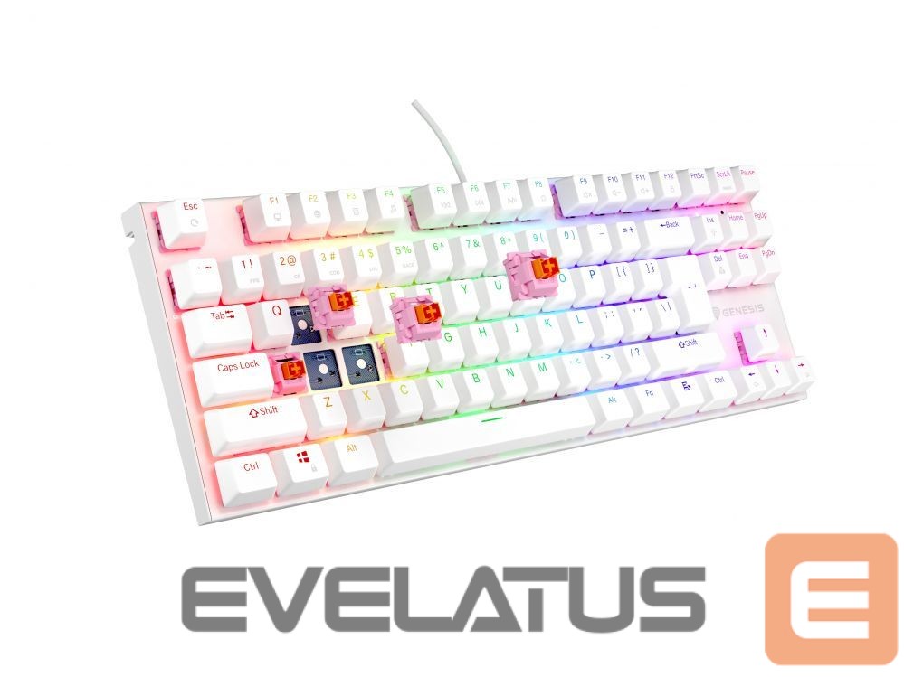 Computer keyboard Genesis THOR 303 | Mechanical Gaming Keyboard | Wired | US | White | USB Type-A | Outemu Peach Silent