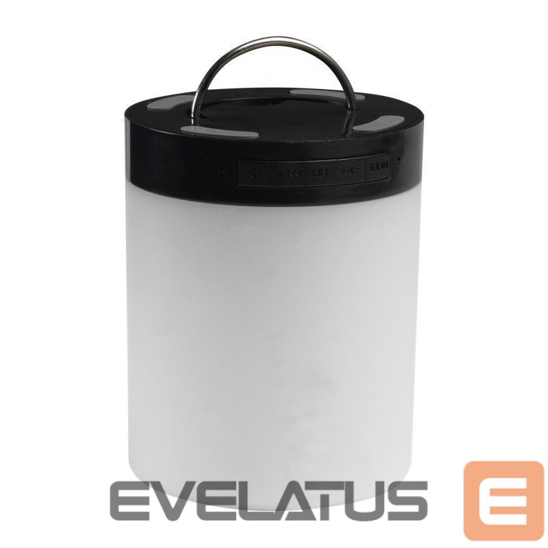 Bluetooth speakers Denver BTL-30BNR