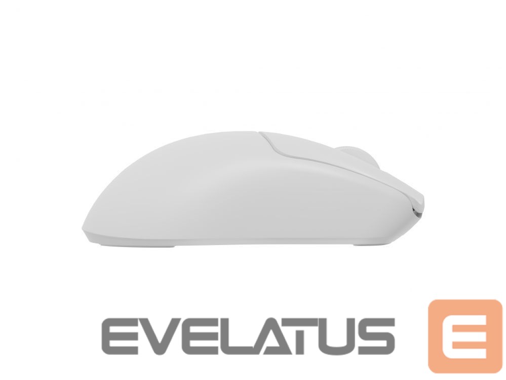 Computer mouse Genesis Zircon 500 | Wireless/Wired | Gaming Mouse | 2.4 GHz, Bluetooth, USB | White