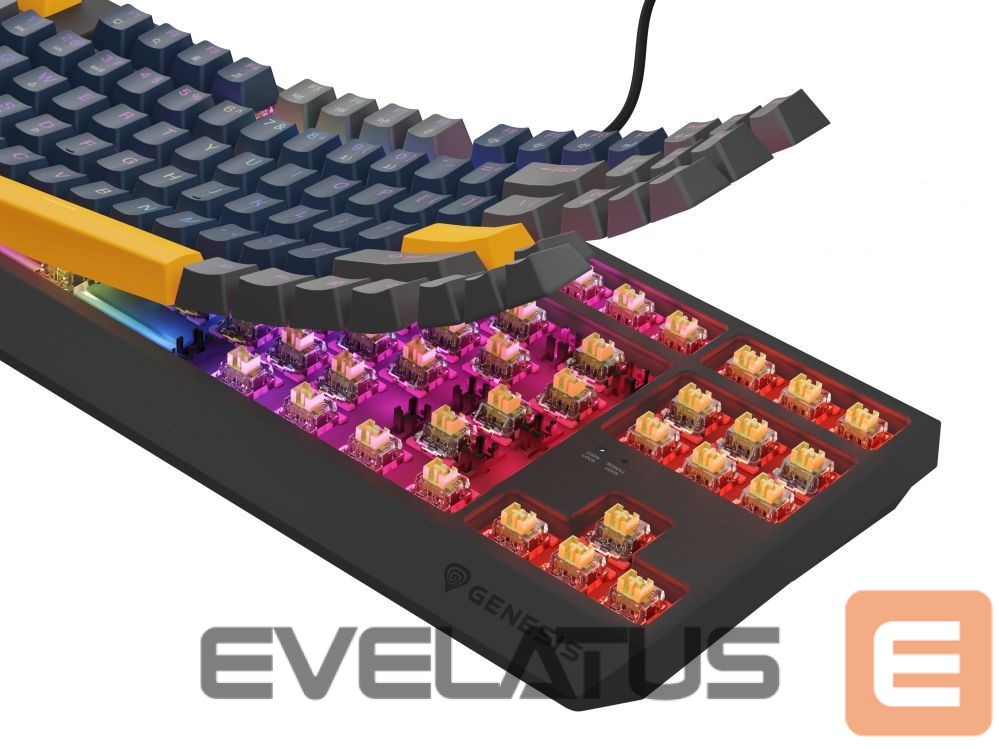 Computer keyboard Genesis THOR 230 | Mechanical Gaming Keyboard | Wired | US | Naval Blue Positive | USB Type-A | Outemu Panda