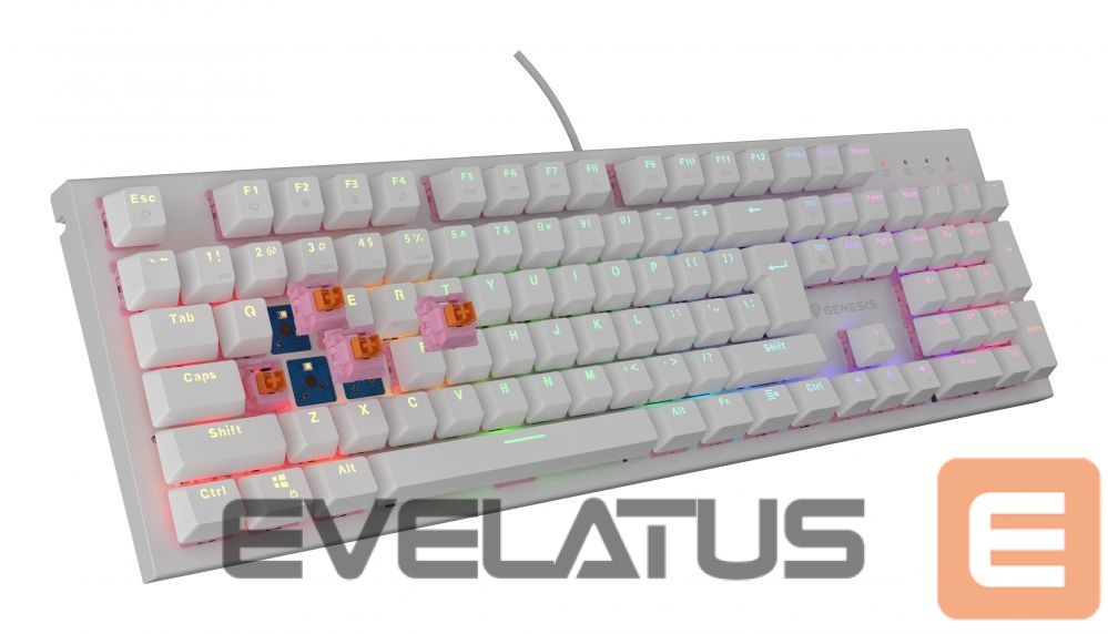 Computer keyboard Genesis THOR 303 | Mechanical Gaming Keyboard | Wired | US | White | USB Type-A | Outemu Peach Silent