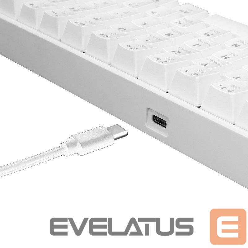 Computer keyboard White Shark Shinobi GK-2022 white/blue US