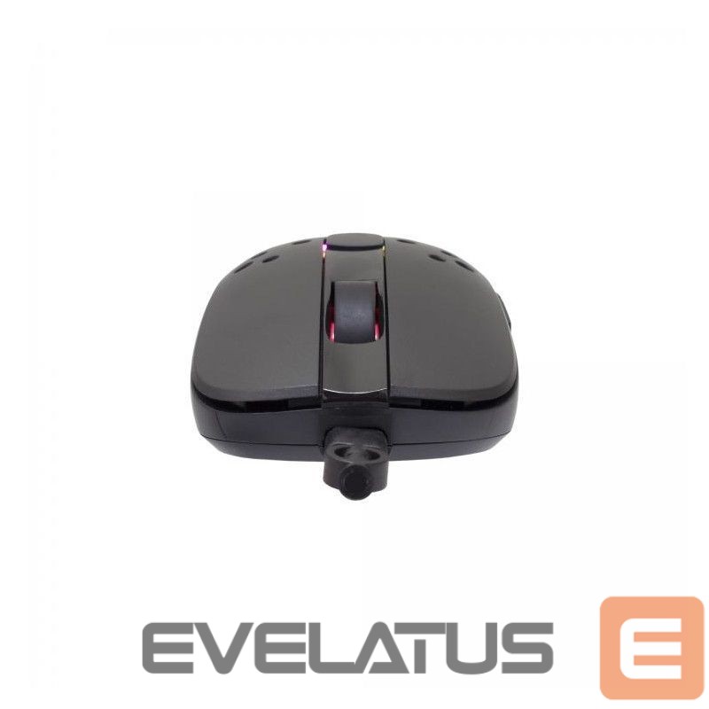 Computer mouse White Shark GM-9004 Tristan Black