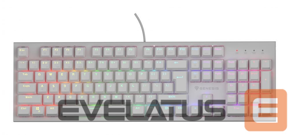 Computer keyboard Genesis THOR 303 | Mechanical Gaming Keyboard | Wired | US | White | USB Type-A | Outemu Peach Silent