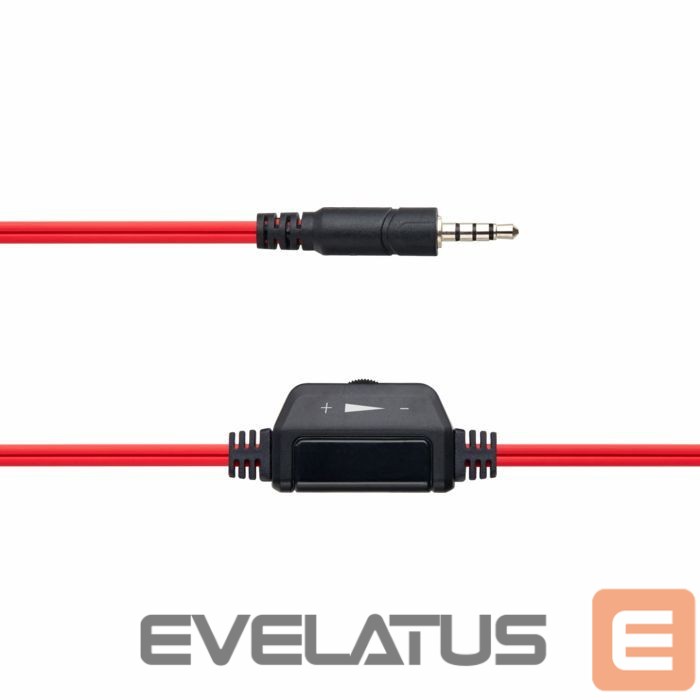 Laidinės ausinės Canyon Stereo Headset