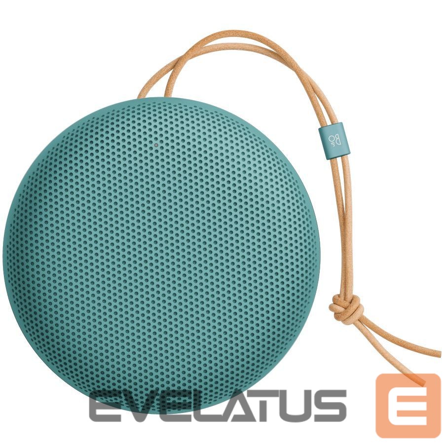 Bluetooth speakers BANG & OLUFSEN Beosound A1 3rd Gen Eucalyptus Green
