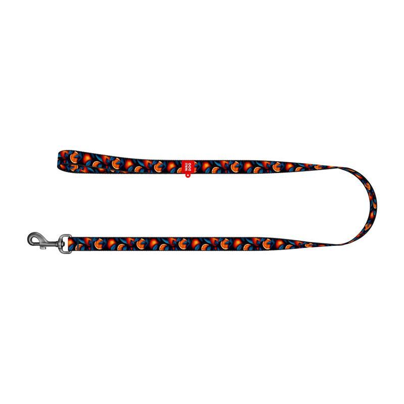 Kariloomade jaoks Waudog Nylon dog leash, pattern ''Oranges'' length 122 cm Waudog