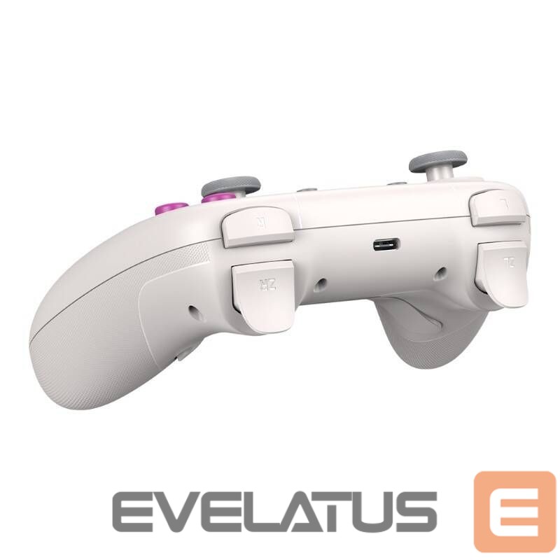 Other Computer Accessory GameSir Wireless controler GameSir T4n (white)