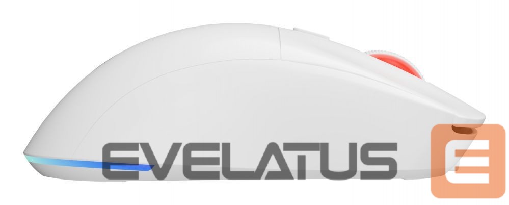 Computer mouse Genesis Zircon XIII Custom | Wireless | Gaming Mouse | 2.4 GHz, USB | White