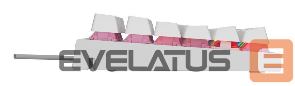 Computer keyboard Genesis THOR 303 | Mechanical Gaming Keyboard | Wired | US | White | USB Type-A | Outemu Peach Silent