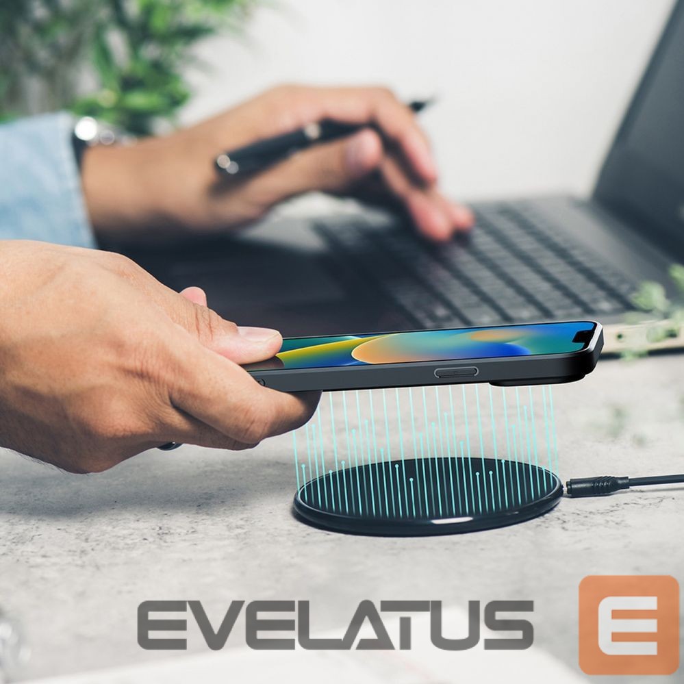 Tagakaaned Dux Ducis Black