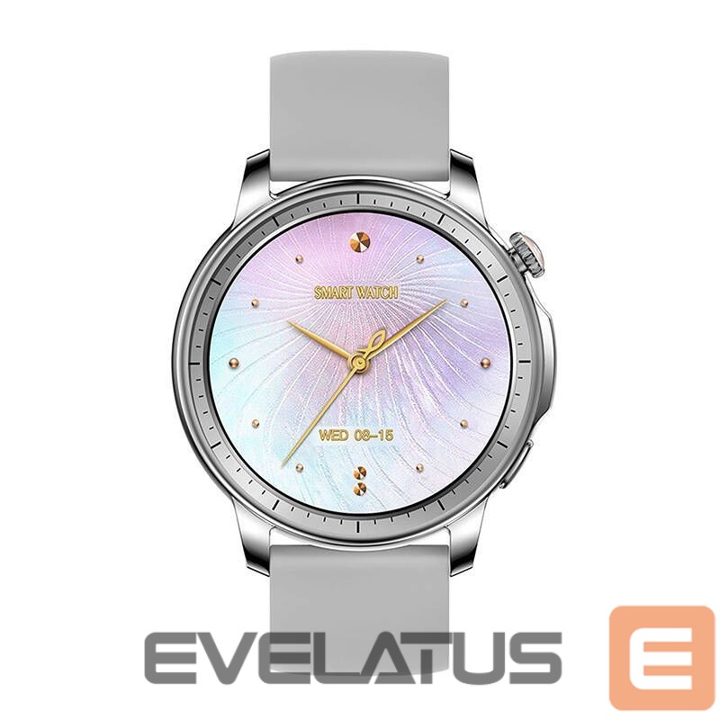 Smart watches Colmi Colmi V65 Smartwatch (Gray)