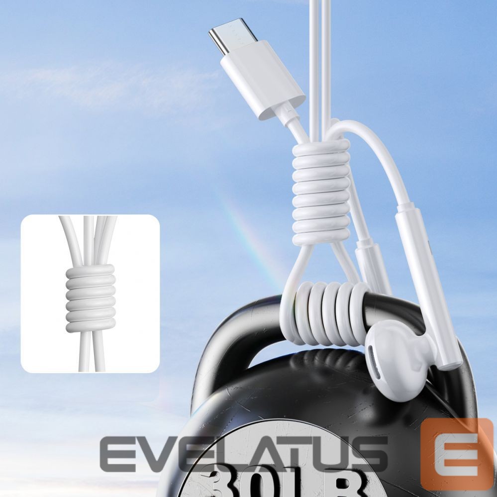 Kõrvaklapid Joyroom Joyroom JR-EC05 USB-C in-ear headphones - white