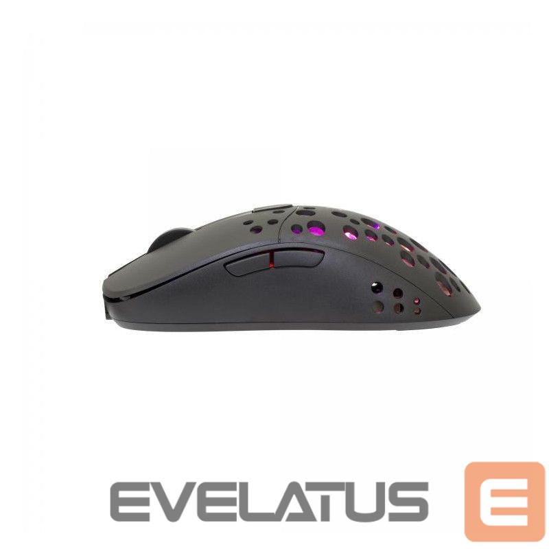 Computer mouse White Shark GM-9004 Tristan Black