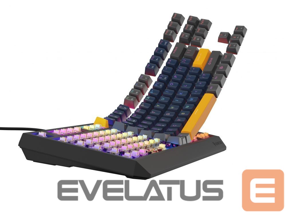 Computer keyboard Genesis THOR 230 | Mechanical Gaming Keyboard | Wired | US | Naval Blue Positive | USB Type-A | Outemu Panda