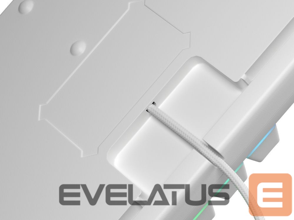 Computer keyboard Genesis THOR 303 | Mechanical Gaming Keyboard | Wired | US | White | USB Type-A | Outemu Peach Silent