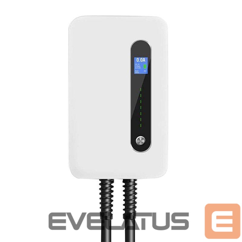 Autotarvikud Besen Besen wall charger for electric cars F30