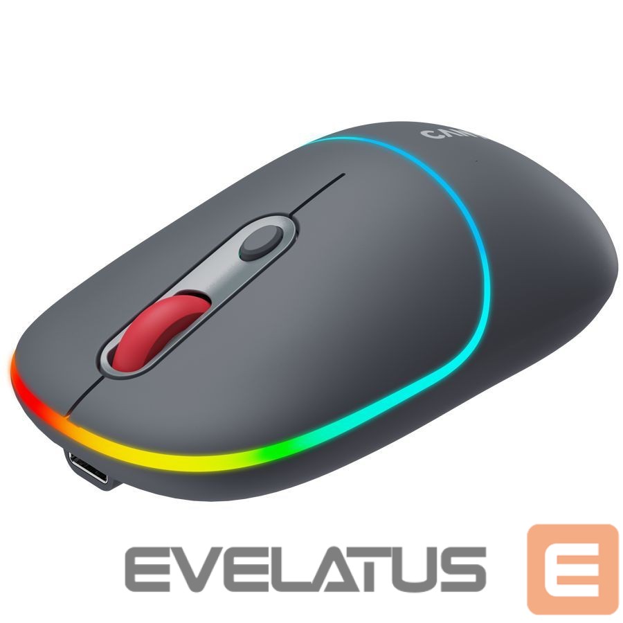 Computer mouse Canyon CANYON mouse MW-22 2in1 BT/ Wireless Dark Grey