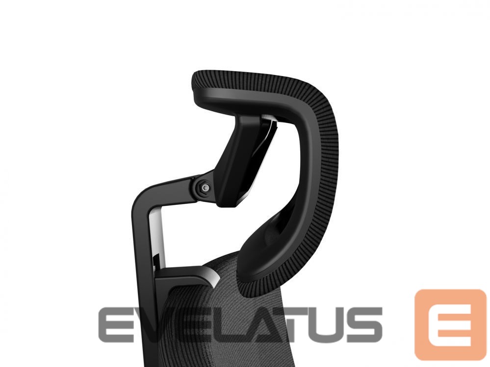 Arvutitoolid / lauad Genesis Ergonomic Chair Astat 200 Black