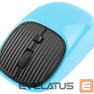 Computer mouse Tracer  46943 Wave RF 2.4Ghz Turquoise 