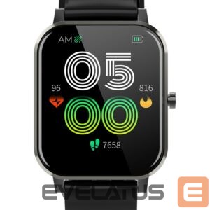 Viedpulksteni Denver  SW-181 Black 