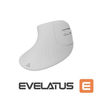 Kompiuterio pelė Sbox  VM-838W Vertical Wireless White 