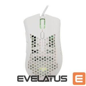 Computer mouse Baracuda  BGM-032 Coral White 