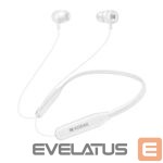 Bezvadu austiņas KODAK  Ultra 100+ wireless sport earphones White 