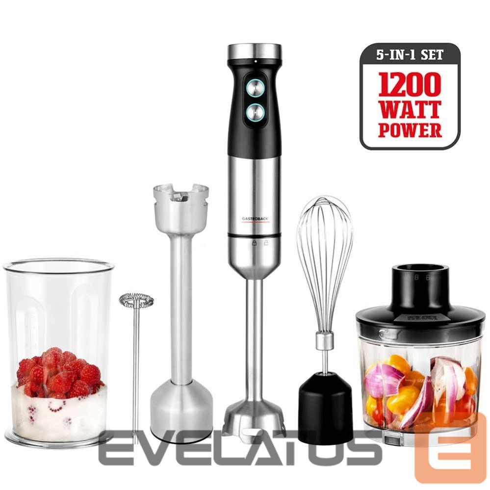 Mikserid ja blenderid Gastroback 40972 Design Power Hand Blender Set 5in1
