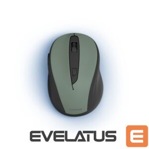 Computer mouse Hama  Hama 00173030 MW-400 V2 Green 