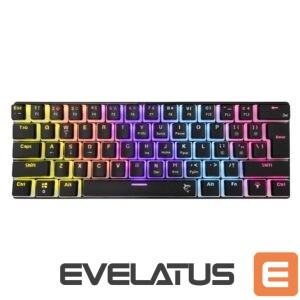 Computer keyboard White Shark  GK-2202 Ashiko-2 Black/Blue US 