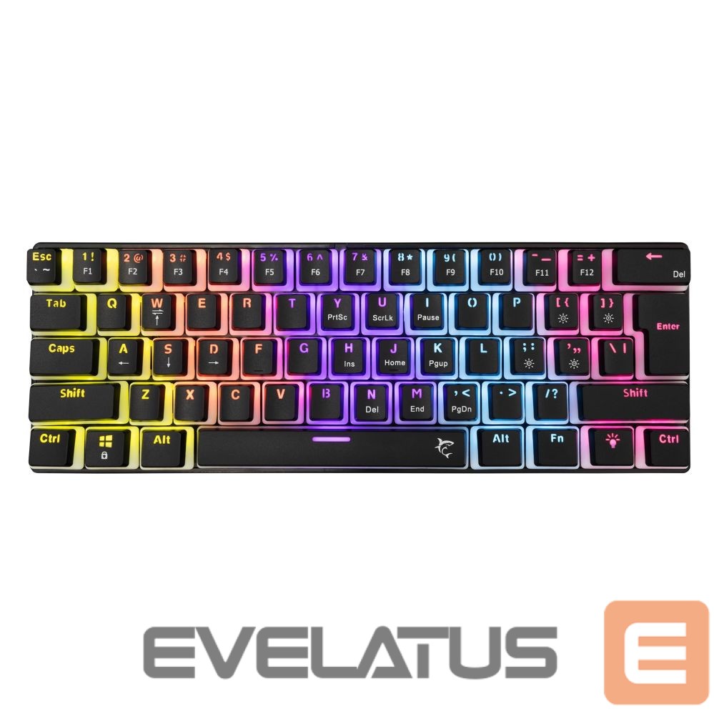 Computer keyboard White Shark GK-2202 Ashiko-2 Black/Blue US