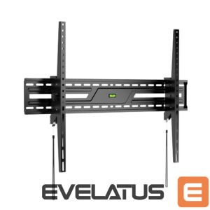 Televizoriaus laikiklis Sbox  PLB-4269T-2 (43-100/75kg/900x600) 