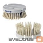 Virtuvei Beldray  LA032784FEU7 Deep Clean Flexi Scrubbing Brush 