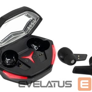 Wireless headphones Tracer  47614 G1 TWS BT 