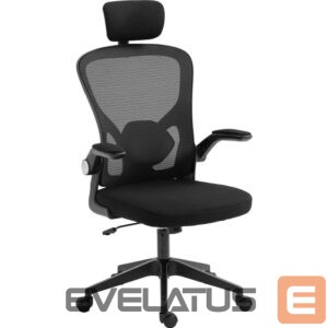 Arvutitoolid / lauad Sandberg  640-97 ErgoFusion Gaming Chair Basic 