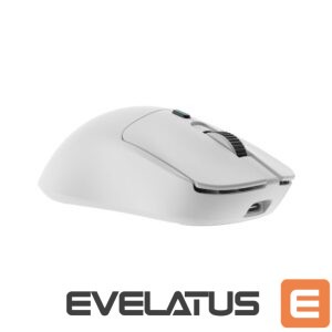 Arvutihiir White Shark  GM-9010 MAXIMUS White 