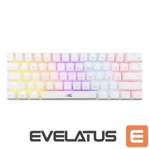 Computer keyboard Baracuda  BGK-03221 Dolphin White US Mechanical Blue Switches 